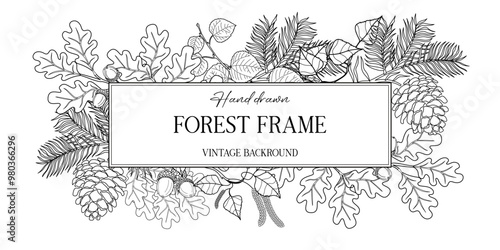 Hand drawn autumn botanical frame with falling leaves. Vector illustration in sketch style isolated on white. Realistic forest design element. Space for text