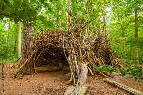 A giant self-built wooden hut in the forest 