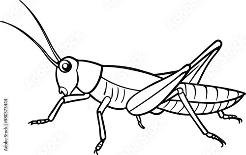 Grasshopper vector line art illustration