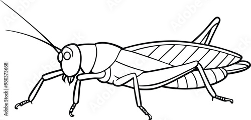 Grasshopper vector line art illustration