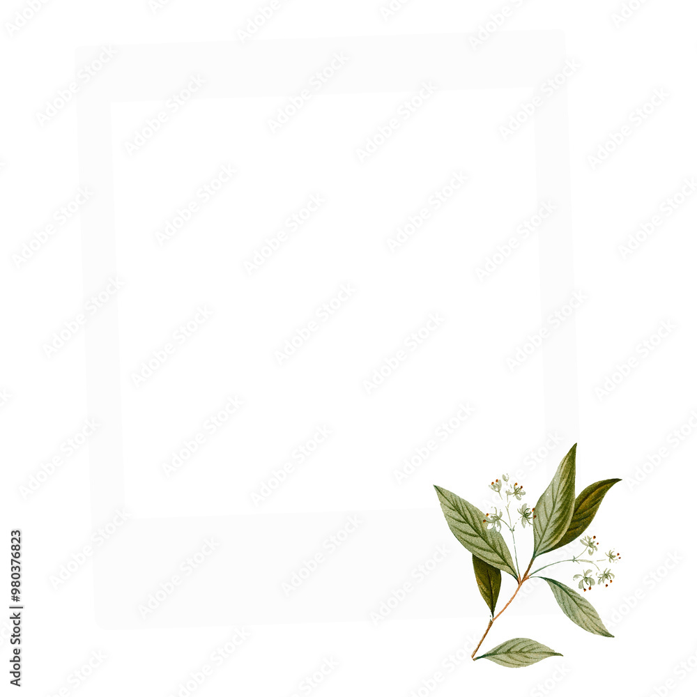 Instant photo png frame sticker, botanical design, transparent background Instant photo png frame sticker, botanical design, transparent background