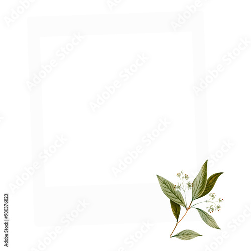 Instant photo png frame sticker, botanical design, transparent background