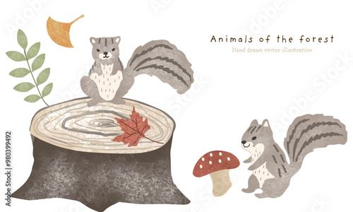 森の植物とリスのイラスト