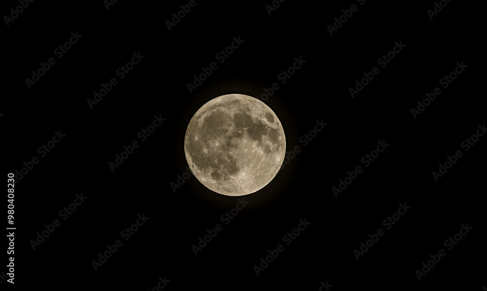 Obraz premium full moon in the sky 