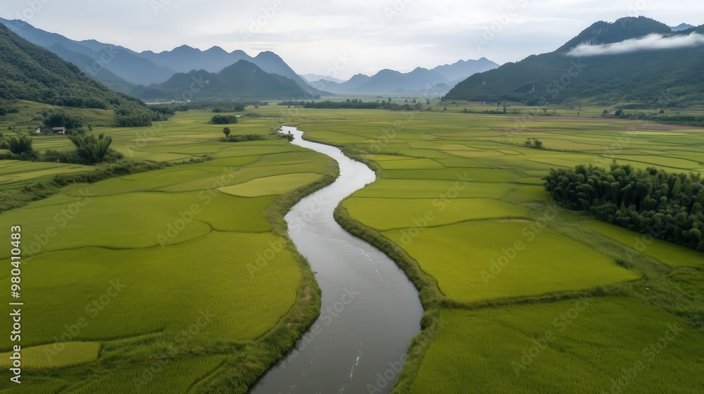 Aerial view of phong nam valley: winding river through lush green landscape for nature posters Aerial view of phong nam valley: winding river through lush green landscape for nature posters