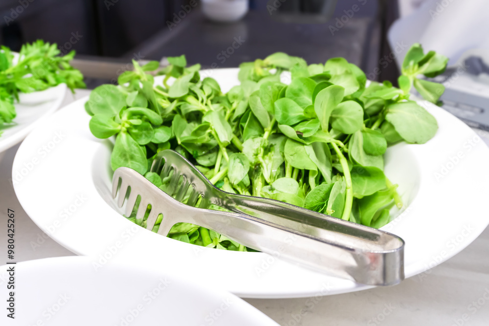 Plate of Fresh Lamb's Lettuce - Side View Plate of Fresh Lamb's Lettuce - Side View