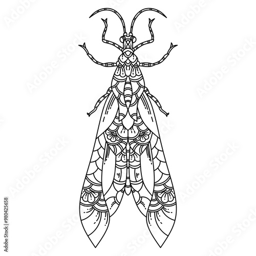 Hand drawn of Dobsonfly in zentangle style