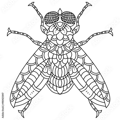 Hand drawn of fly in zentangle style