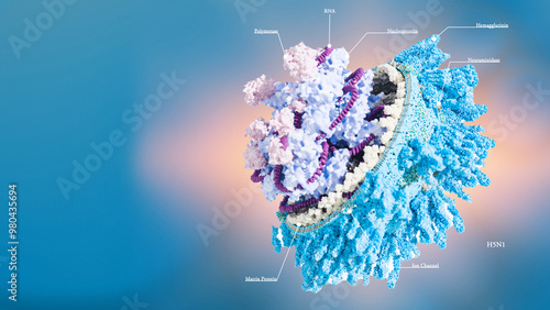 Scientific Accurate H5N1 virus responsible for bird flu, avian influenza virus H5N1 pandemic 3d rendering