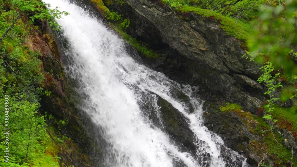 Norway - close up Waterfall surrounded by green trees and bushes Norway - close up Waterfall surrounded by green trees and bushes