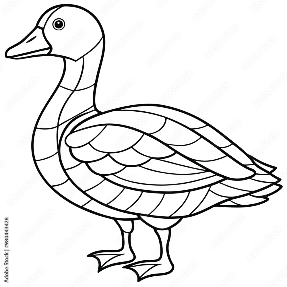 duck isolated duck isolated