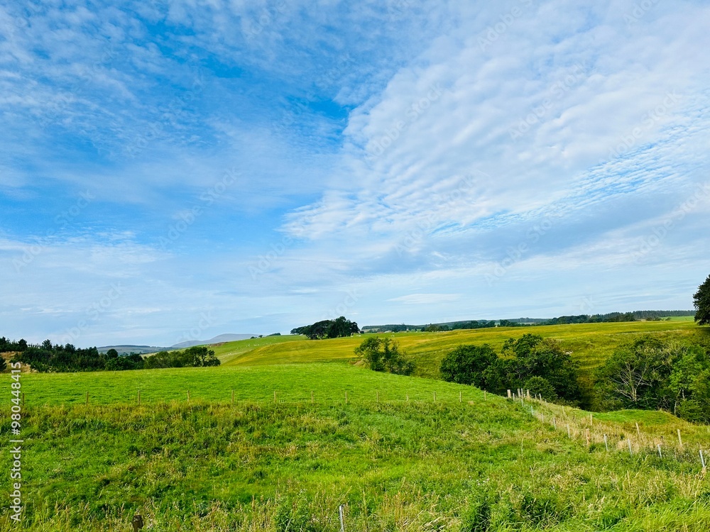 Fototapeta premium field and blue sky