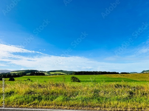 field and blue sky