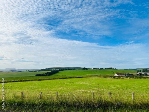 field and sky