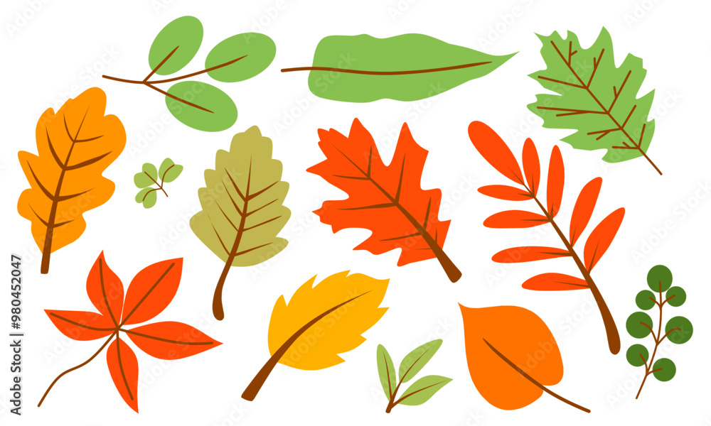 set of autumn leaves set of autumn leaves