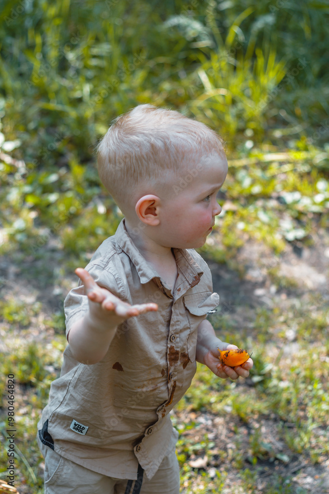 A cute handsome blond boy in a beige shirt and shorts eats ripe orange apricots next to a bright summer day A cute handsome blond boy in a beige shirt and shorts eats ripe orange apricots next to a bright summer day