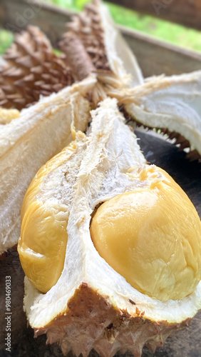 Musang King durian, the king of fruits close up background. Stock photo. photo