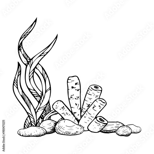 Seabed landscape with tube sponge, long seaweed and rocks with seaweed black and white vector illustration in line style. Red sea underwater nature ink sketch for tropical ocean and aquarium designs