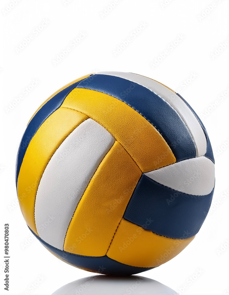 volleyball isolated on white background volleyball isolated on white background