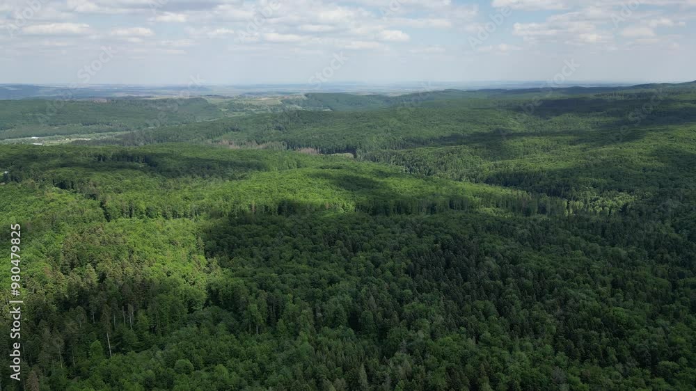 Aerial View of Green Forest in the Romanian Carpathians, showcasing dense tree canopies and natural patterns from a high altitude. Forest, landscape, nature Aerial View of Green Forest in the Romanian Carpathians, showcasing dense tree canopies and natural patterns from a high altitude. Forest, landscape, nature