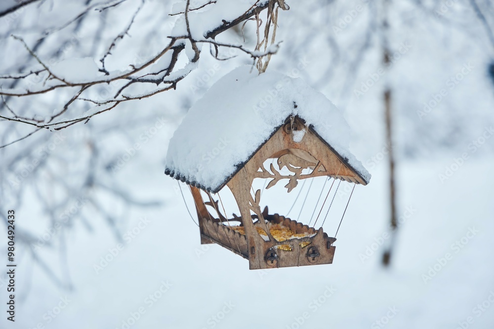 Bird feeder in the winter park. Taking care of animals in the cold season Bird feeder in the winter park. Taking care of animals in the cold season