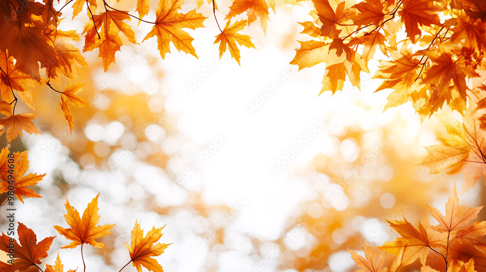 Autumn Landscape background - Trees And Orange Foliage In Park At Sunset
Autumn Landscape background - Trees And Orange Foliage In Park At Sunset