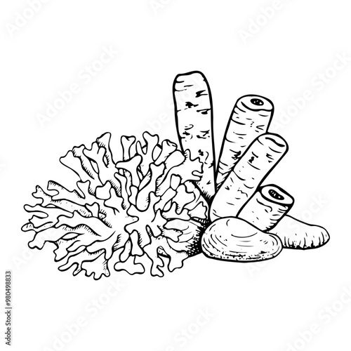 Coral reef flat vector illustration with black and white sea tube sponge and rock for coloring. Hand drawn monochrome underwater nature, ocean polyp line drawing for marine and nautical design