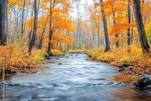 A serene autumn landscape with a stream flowing through a forest, lined with colorful foliage on the banks, capturing the peacefulness and natural beauty of fall