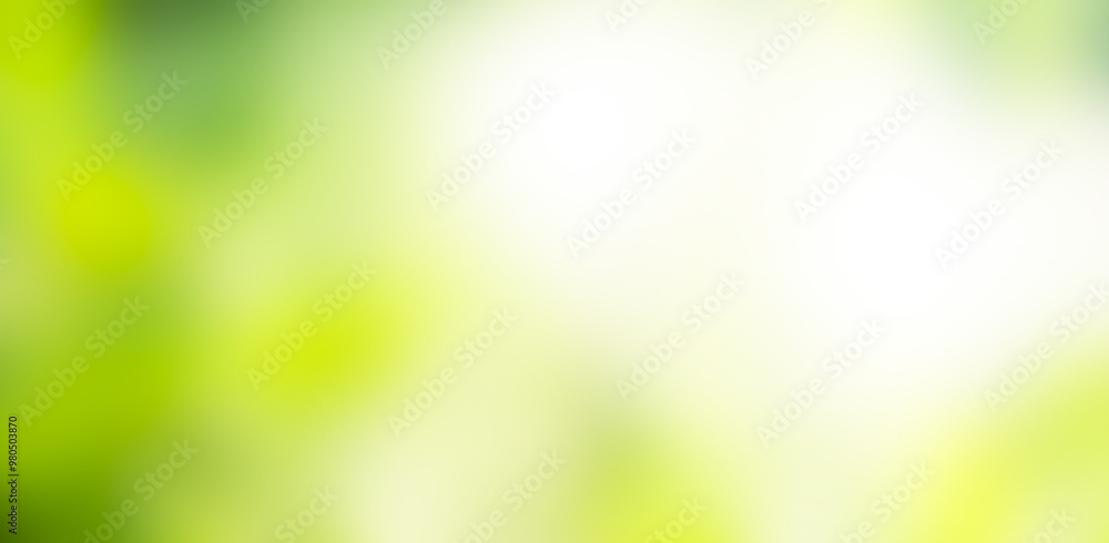 Obraz premium Green nature background bokeh leaf nature summer springtime blur sunlight natural fresh foliage environment ecosystem zero carbon envergy change backdrop, mockup product aesthetic beauty organic.