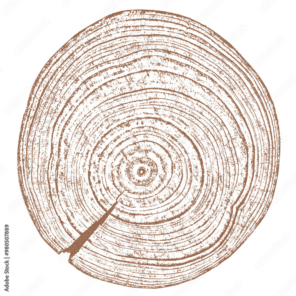Tree wood texture. Wooden old trunk. Cut timber log. Abstract rings nature pattern. Brown circle stump. Wood cross section. Tree wood texture. Wooden old trunk. Cut timber log. Abstract rings nature pattern. Brown circle stump. Wood cross section.