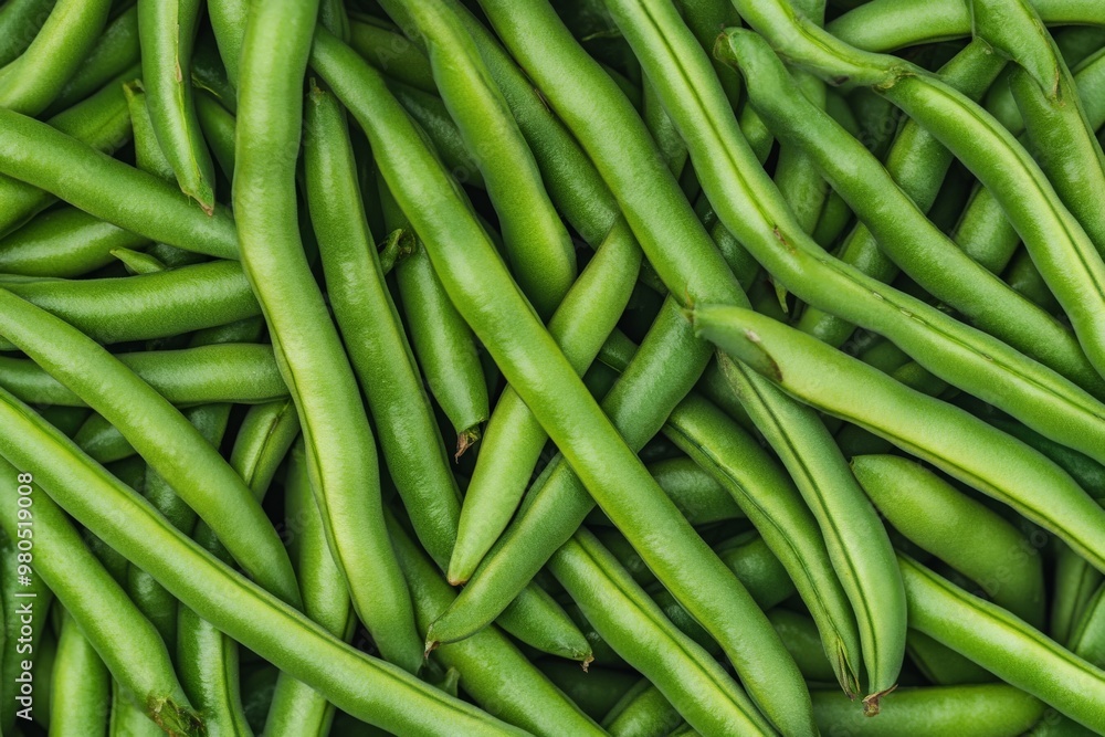 A pile of fresh green beans a green bean A pile of fresh green beans a green bean