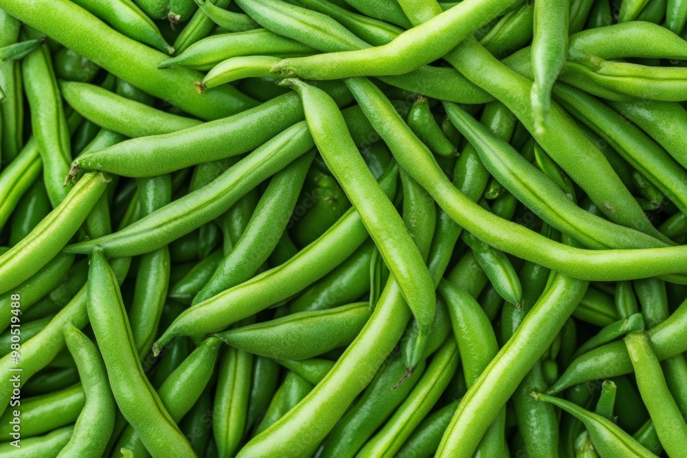 A pile of fresh green beans a green bean A pile of fresh green beans a green bean