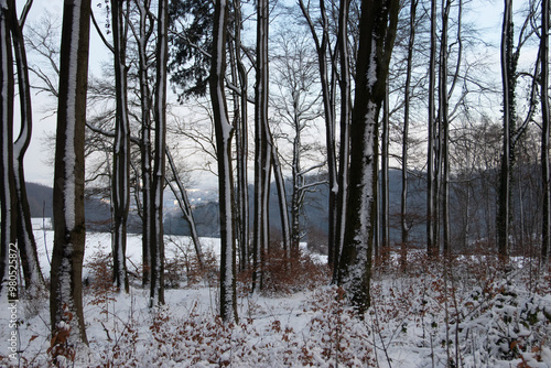 Winter in der Region Teutoburger Wald