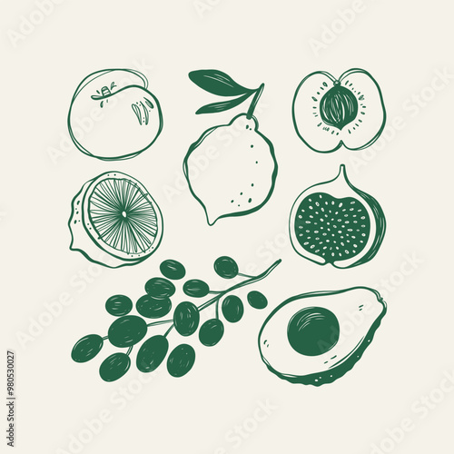 Retro style collection of different fruits. Kitchen Wall art.