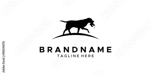 a graphic image with a dog and book theme, on a white background. vector graphic base.