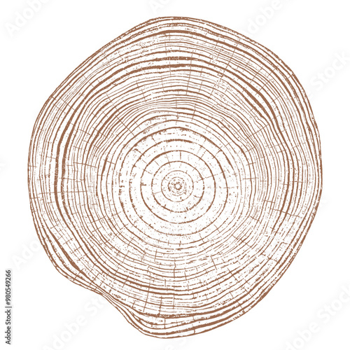 Tree wood texture. Wooden old trunk. Cut timber log. Abstract rings nature pattern. Brown circle stump. Wood cross section.