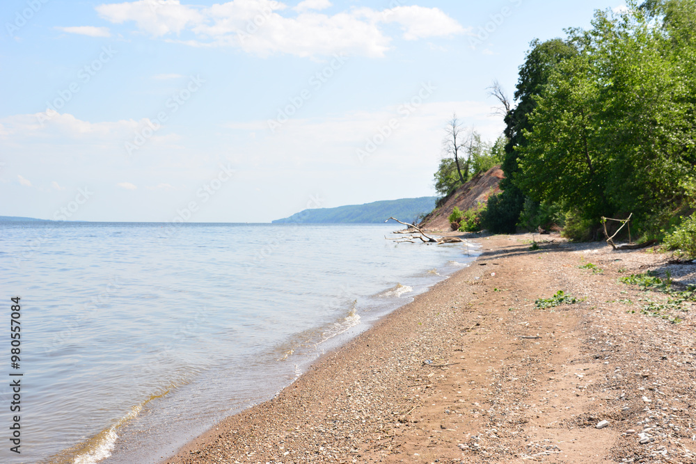 Fototapeta premium a sandy beach in sunny day with some green trees copy space 
