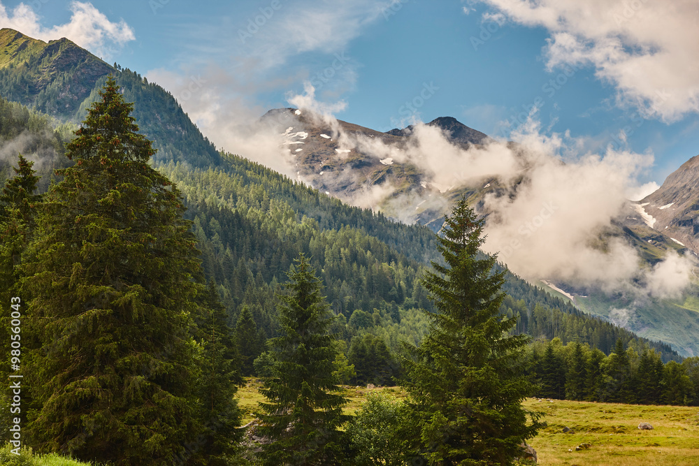 Grossglockner. Serpentine alpine road viewpoint. Green forest and waterfall. Austria