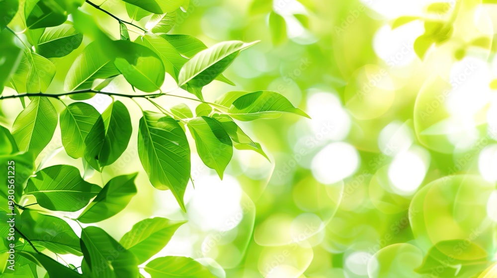 A tight shot of a green plant with leafy foliage against a backdrop of vibrant green bokeh from a nearby light source A tight shot of a green plant with leafy foliage against a backdrop of vibrant green bokeh from a nearby light source