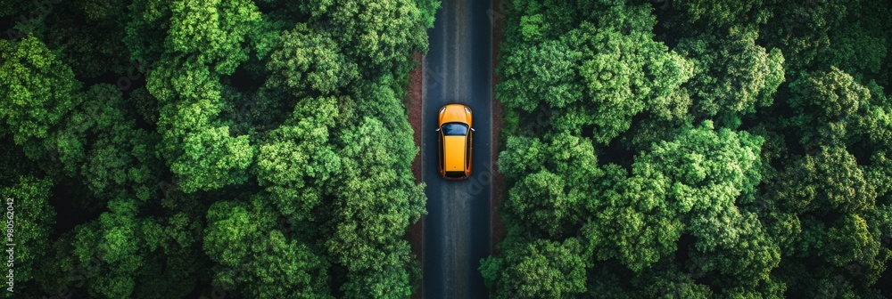 Top view of the asphalt road and dense green forests. Beautiful landscape photography with drone Top view of the asphalt road and dense green forests. Beautiful landscape photography with drone