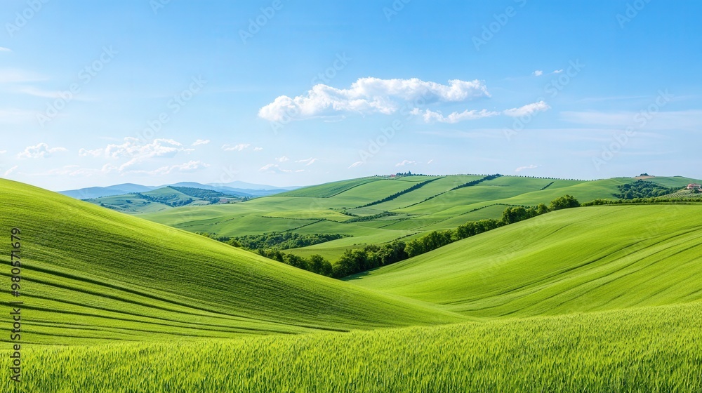 Lush Green Hills Under Bright Summer Sky, rolling hills adorned with vibrant patchwork fields, capturing the essence of idyllic countryside beauty and tranquility. Lush Green Hills Under Bright Summer Sky, rolling hills adorned with vibrant patchwork fields, capturing the essence of idyllic countryside beauty and tranquility.