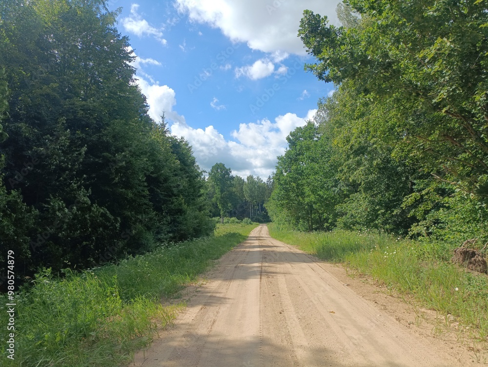Road in forest in Siauliai county during sunny summer day. Oak and birch tree woodland. Sunny day with white clouds in blue sky. Bushes are growing in woods. Sandy road. Nature. Summer season. Miskas. Road in forest in Siauliai county during sunny summer day. Oak and birch tree woodland. Sunny day with white clouds in blue sky. Bushes are growing in woods. Sandy road. Nature. Summer season. Miskas.