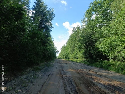 Road in forest in Siauliai county during sunny summer day. Oak and birch tree woodland. Sunny day with white clouds in blue sky. Bushes are growing in woods. Sandy road. Nature. Summer season. Miskas.