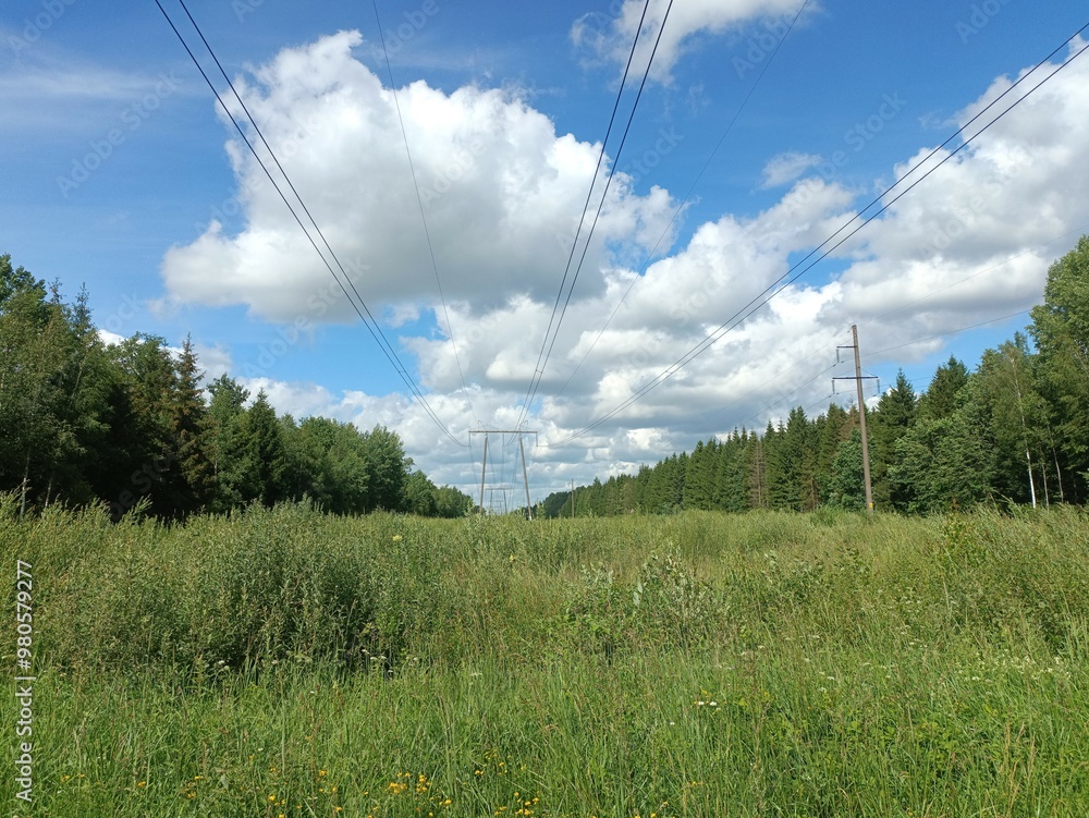 Forest in Siauliai county during sunny summer day. Oak and birch tree woodland. Sunny day with white clouds in blue sky. Bushes are growing in woods. Nature. Miskas. Forest in Siauliai county during sunny summer day. Oak and birch tree woodland. Sunny day with white clouds in blue sky. Bushes are growing in woods. Nature. Miskas.