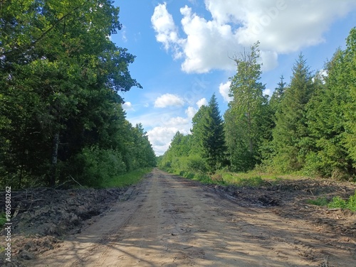 Road in forest in Siauliai county during sunny summer day. Oak and birch tree woodland. Sunny day with white clouds in blue sky. Bushes are growing in woods. Sandy road. Nature. Summer season. Miskas.