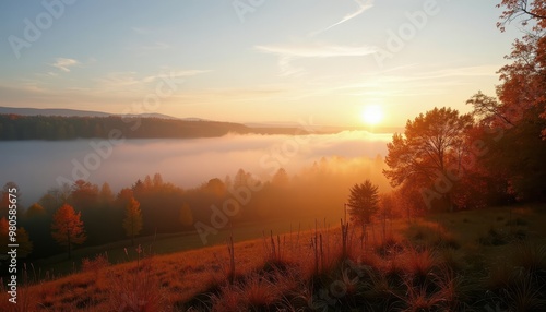 Crisp Autumn Morning with Fog Rolling Through a Forest of Colorful Trees