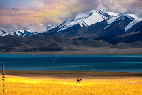 Canvas Print Mountains and lakes in the Xinjiang Plateau of China, and grassland and pasture