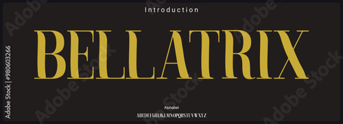 Condensed elegant serif vector font.