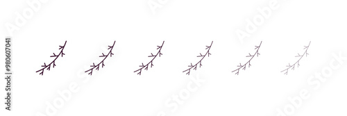larch leaf outline icon. Linear vector from nature concept. 6 different line style larch leaf icon included thin, light, regular, medium, bold, black