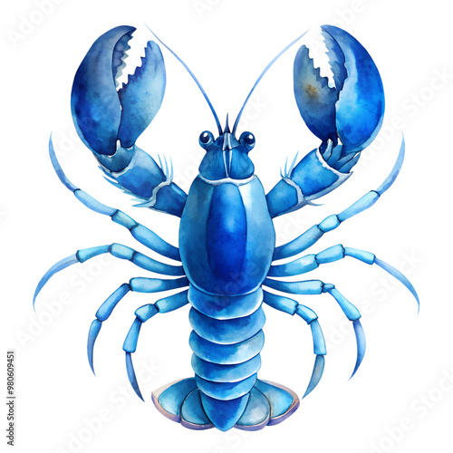 Blue Lobster. Hand Drawn, Watercolor Style.  photo